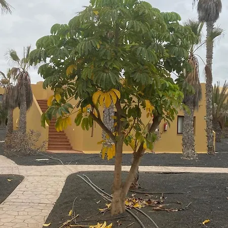 Διαμέρισμα Oasis Papagayo *